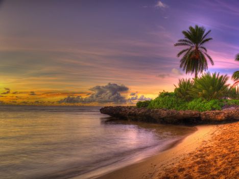 Beach Hawai-1236