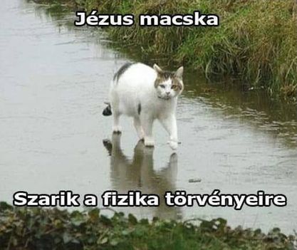 Macska!