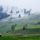 A_tel_elso_fuvallata_erdelyben_1963706_3191_t