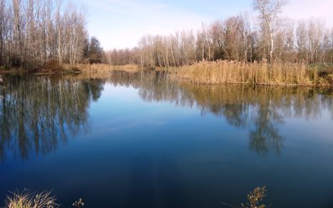 Gatyai Duna-ág a Gatyai vízszintszabályozó műtárgy felvízén, Ásványráró 2015. november 29.-én 2