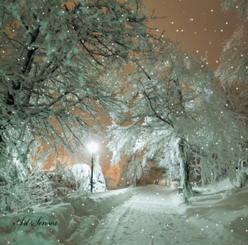 Whinter snow night animated-gif