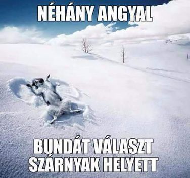 ;) 2