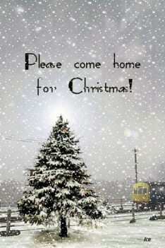 Christmas com home-gif