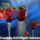 Csodas_hetveget_kivanok_1966222_8472_t