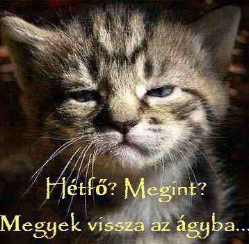 Hétfő!