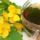 Verehullo_tea_1966900_2686_t