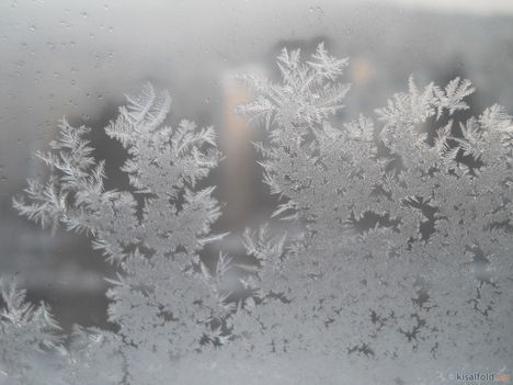 Jégvirág az ablakban..:Dáma Lovag Erdős Anna