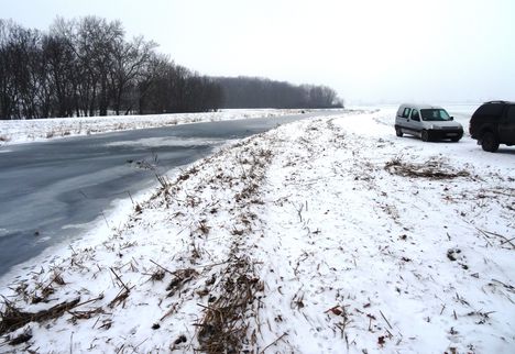 Lajta folyó főmeder 2016. január 06.-án, övzátony a bal parti benádasodott padkán