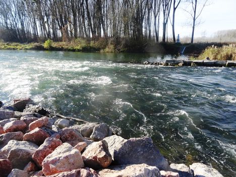 Halrekesztői vízszintszabályzó műtárgy alvizén, Ásványráró 2015. november 29.-én