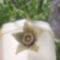 tarka dögvirág, rendjelvirág, dögcsillag (Stapelia variegata)