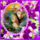 2zxda1fros126_1969201_1065_t