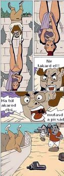 Az erekció segítsége!