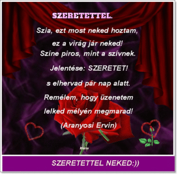 EZT MOST NEKED HOZTAM.