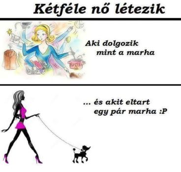 Kétféle!