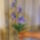 Ketszinu_orchidea-001_1906950_2609_t