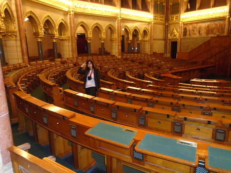 Parlament (36)