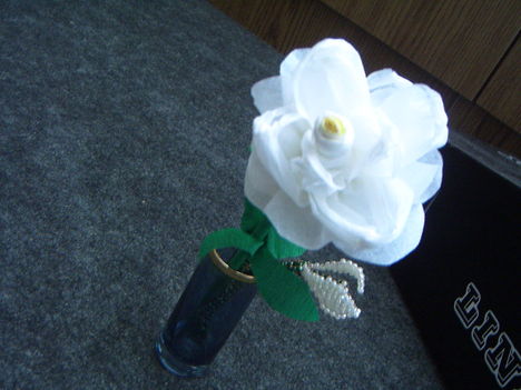 Pünkösdi rózsám