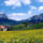 Alpesi_tavasz012_1971211_9221_t