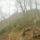 Bodajk_kornyeke-001_1971265_8635_t