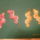 P1170809_1971068_9429_t