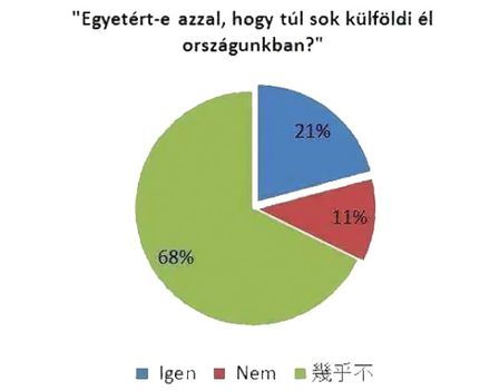 Kérdőív!