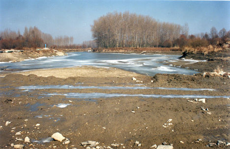 A Duna folyam Kisbodaki mellékágrendsze1991 februárjában