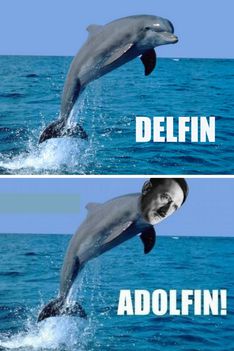 Delfin!