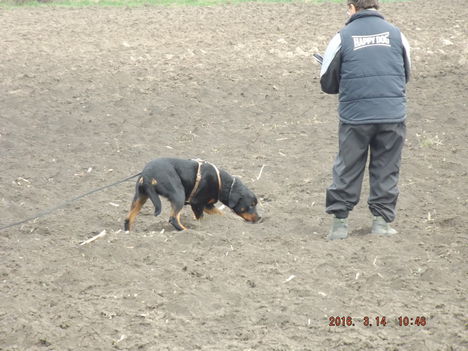 DSCF0077