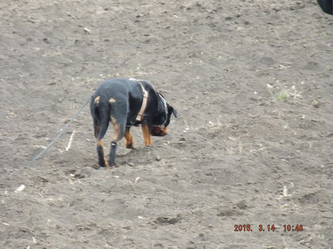 DSCF0078