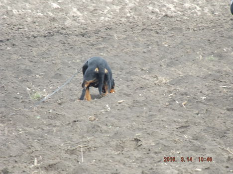 DSCF0079
