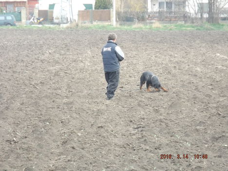 DSCF0086