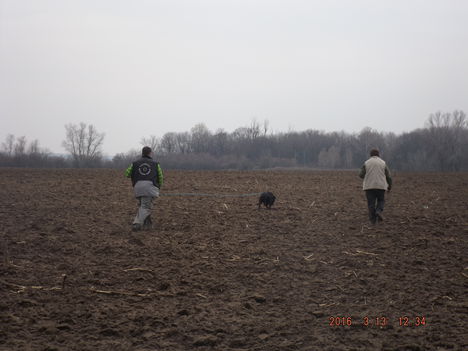 DSCF0090