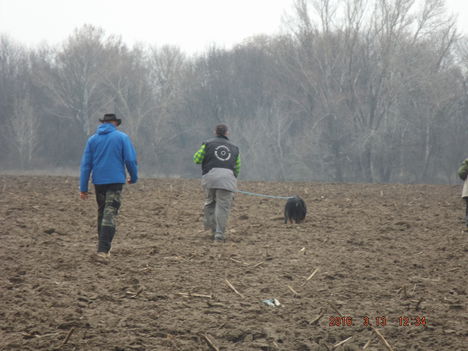 DSCF0092