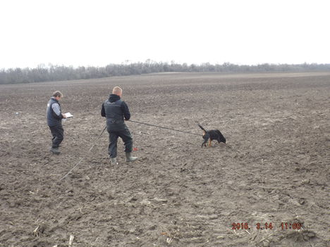 DSCF0094