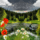 Futo__felhok_1977245_5770_t