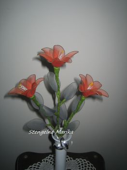 harisnya virágom 3