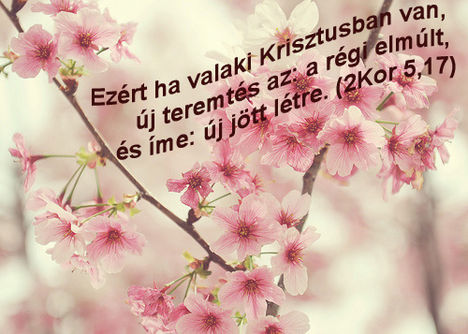 IGE  A MAI  NAPRA