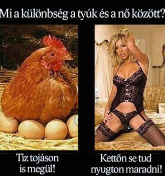 Különbség!
