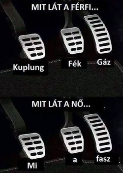 Mit látnak!