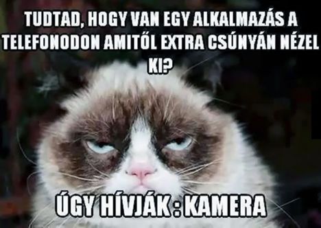 Tudtad!