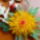 Wwwandakreativblogspothu-012_1977398_8521_t