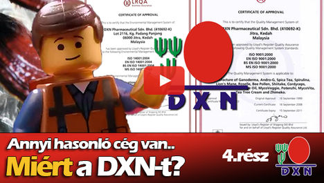 dxnvideo 3