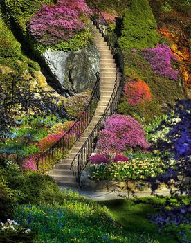 Csodás kert lépcsővel