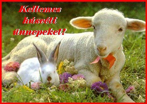 Kellemes Húsvéti Ünnepeket!