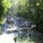 Dunns_river_jamaica_1907976_4939_t