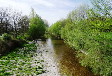 Lajta folyó ausztriai szakasza Wasenbrucknál, 2016. április 17.-én 1