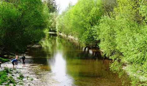 Lajta folyó ausztriai szakasza Wasenbrucknál, 2016. április 17.-én 3
