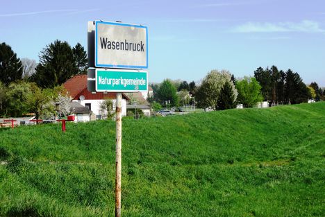 Lajta folyó ausztriai szakasza Wasenbrucknál, 2016. április 17.-én 8