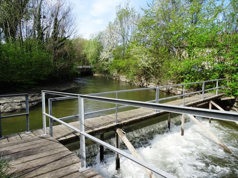 Lajta folyó üzemvízcsatornája a Werkskanal Wasenbruck (A), 2017. április 17.-én 4