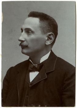 PALMER  KÁLMÁN  1860  -  1933